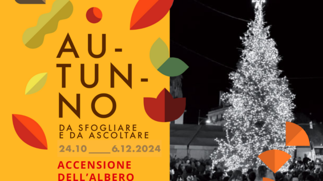 Accensione dell’albero di Natale – Autunno